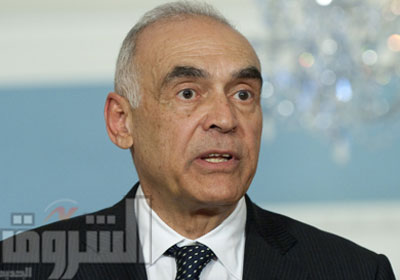محمد عمرو وزير الخارجية